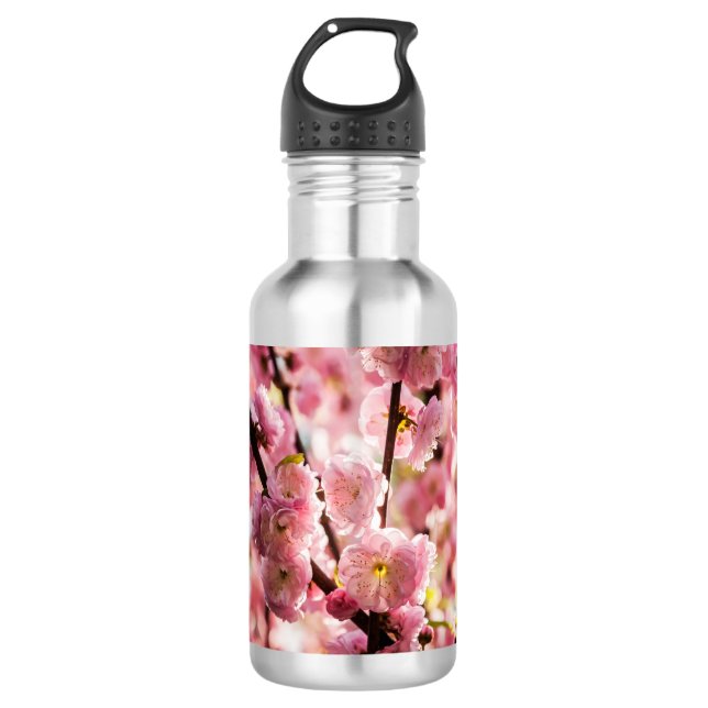 Bouteille D'eau En Acier Inoxydable Plum à fleurs - Paradize rose (Devant)