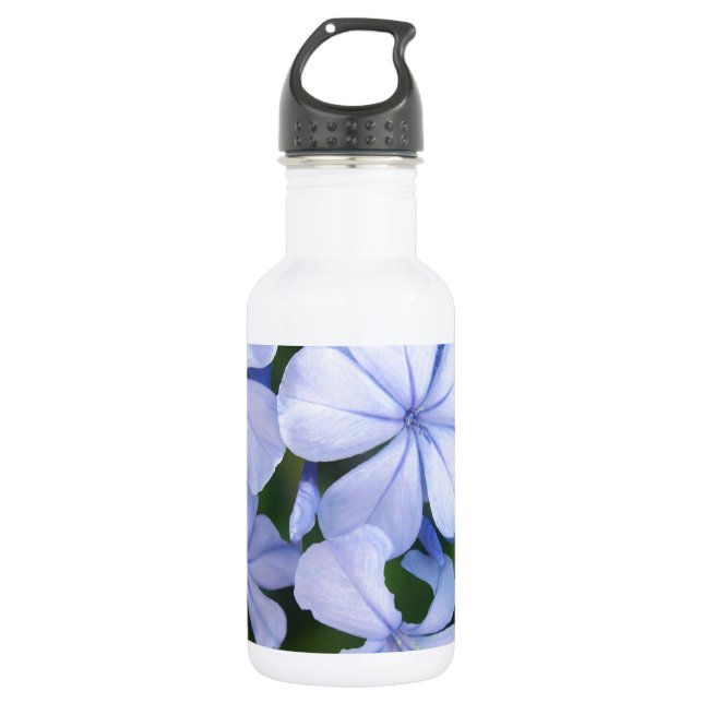 Bouteille D'eau En Acier Inoxydable Plumbago (Devant)