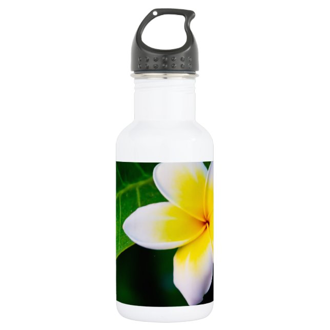 Bouteille D'eau En Acier Inoxydable plumérie (Devant)