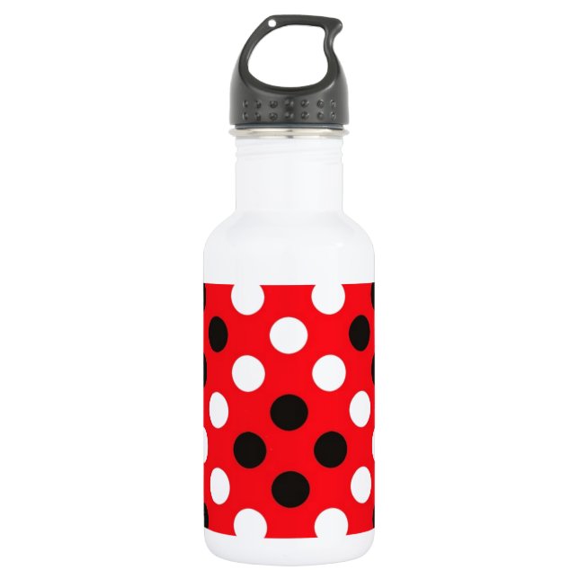 Bouteille D'eau En Acier Inoxydable Pois (Devant)