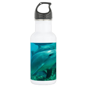 Bouteille D'eau En Acier Inoxydable poisson dauphin marin océan sous l'eau nager