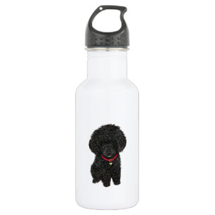 Bouteille D'eau En Acier Inoxydable Poodle miniature ou jouet - Noir 1