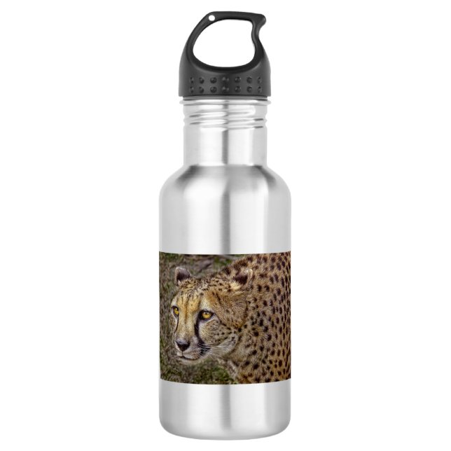 Bouteille D'eau En Acier Inoxydable Profil de guépard (Devant)