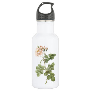 Bouteille D'eau En Acier Inoxydable rose damassé (Rosa damascena aurora) par Redouté
