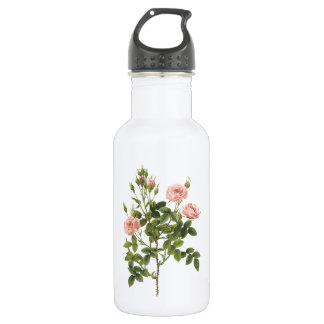 Bouteille D'eau En Acier Inoxydable rose pompon (Rosa pomponia) par Redouté