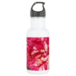 Bouteille D'eau En Acier Inoxydable Rose rouge et crème