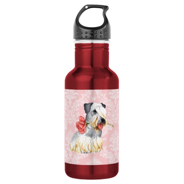 Bouteille D'eau En Acier Inoxydable Rose Valentin Cesky Terrier (Devant)