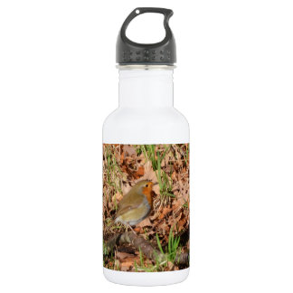 Bouteille D'eau En Acier Inoxydable Rouge-gorge familier