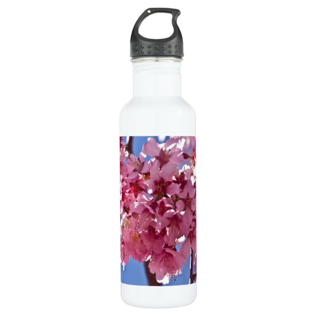 Bouteille D'eau En Acier Inoxydable Sakura Cherry Blossoms Red Stars (Devant)