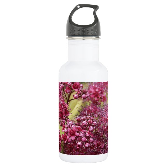 Bouteille D'eau En Acier Inoxydable Spirea rose (Devant)