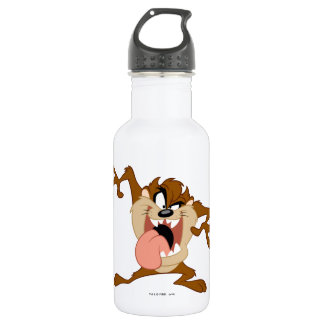 Bouteille D'eau En Acier Inoxydable TAZ™| Sticking Out
