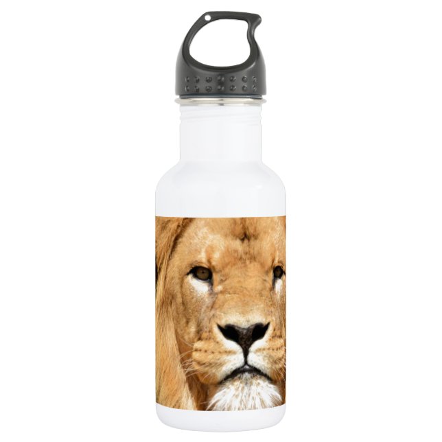 Bouteille D'eau En Acier Inoxydable Tête de Lions (Devant)