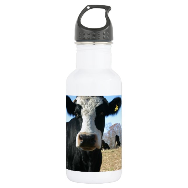 Bouteille D'eau En Acier Inoxydable Vache folle (Devant)