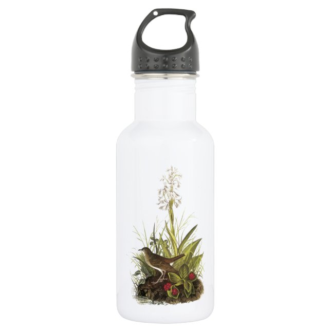 Bouteille D'eau En Acier Inoxydable Veery par Audubon (Devant)