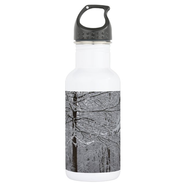 Bouteille D'eau En Acier Inoxydable Vue Woods (Devant)