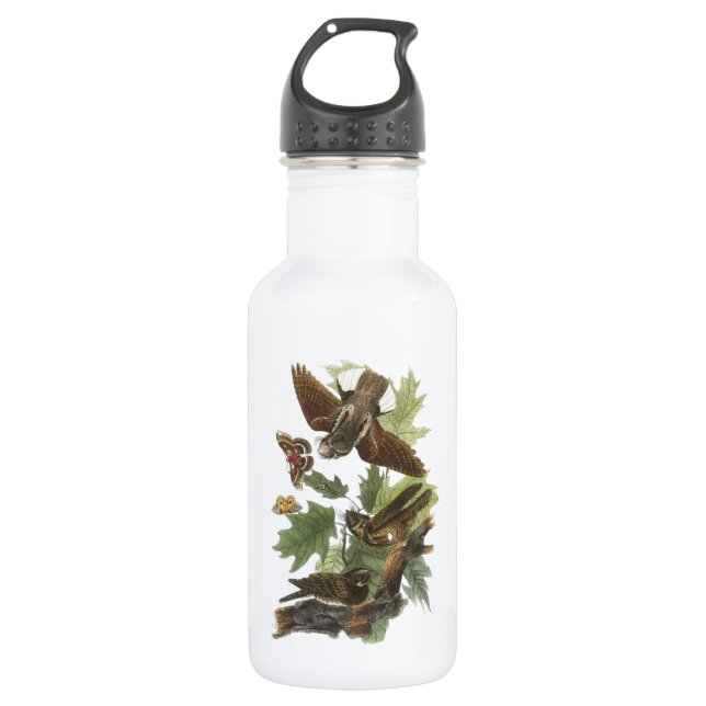 Bouteille D'eau En Acier Inoxydable Whip-poor-will par Audubon (Devant)