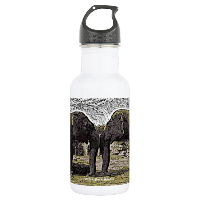 Bouteille D'eau En Acier Inoxydable Yeux d'Éléphant (Devant)