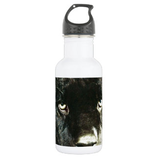 Bouteille D'eau En Acier Inoxydable Yeux Jaguar