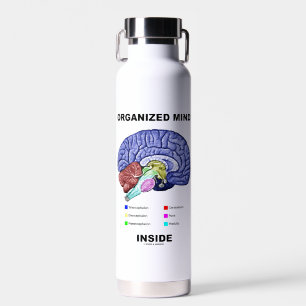 Bouteille D'eau Esprit organisé à l'intérieur de l'Humour cérébral