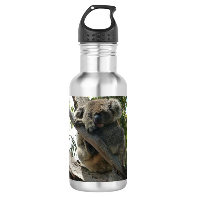 Bouteille D'eau Étiquettes Cadeaux Koala - Dormant (Devant)