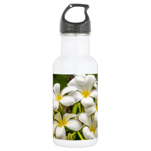 Bouteille d'eau exotique de Plumeria d'île