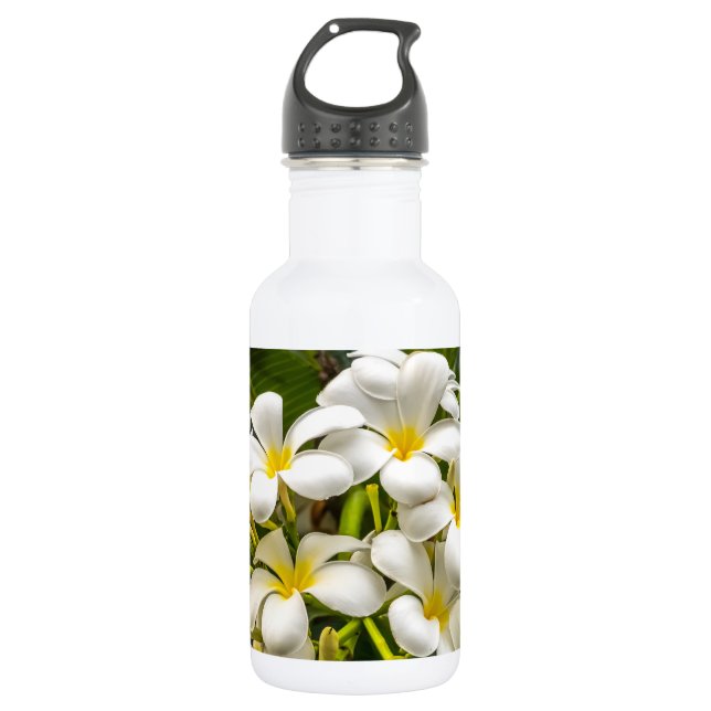 Bouteille d'eau exotique de Plumeria d'île (Devant)