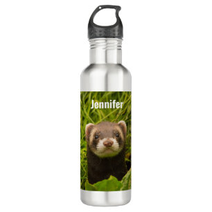 Bouteille D'eau Ferret Brown dans l'herbe