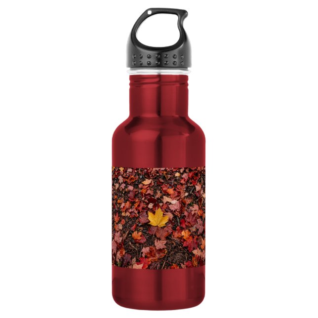 Bouteille D'eau Feuilles d'automne  (Devant)