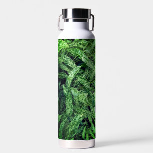 Bouteille D'eau Feuilles verts