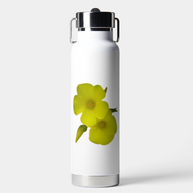 BOUTEILLE D'EAU FLASCON ISOLÉ THOR   ART&DESIGN  (Salle de sport)