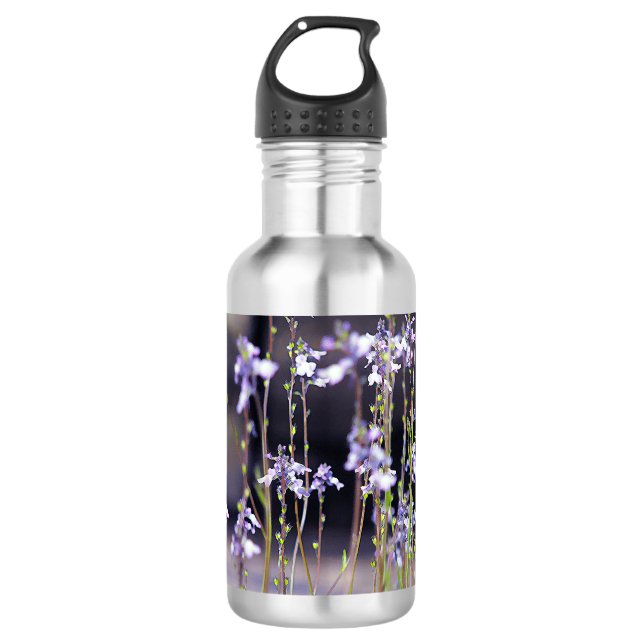Bouteille D'eau Fleurs sauvages de lavande (Devant)