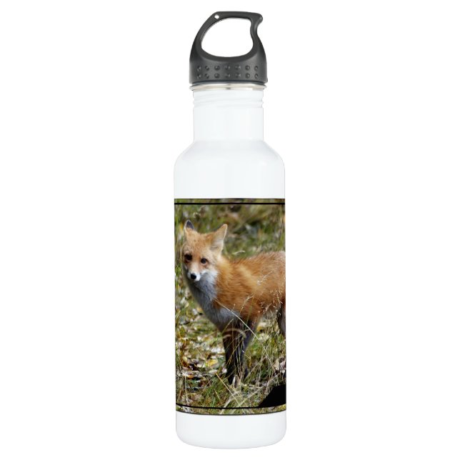 Bouteille D'eau Fox (Devant)
