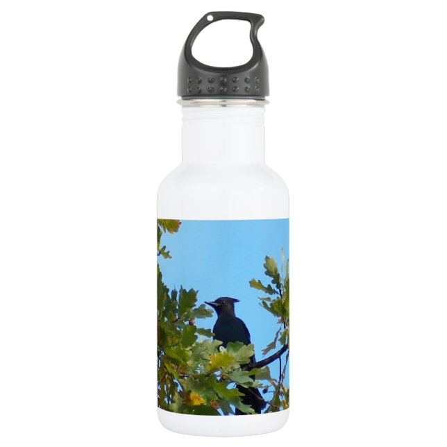 Bouteille D'eau Geai de Steller dans le chêne (Devant)