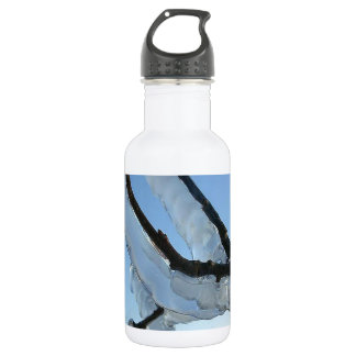 Bouteille D'eau Glace Sur Une Branche