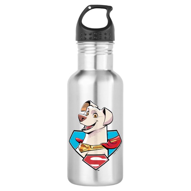 Bouteille D'eau Graphique Krypto S-Shield (Devant)