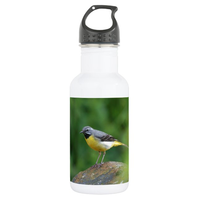 Bouteille D'eau Gray Wagtail - oiseau (Devant)