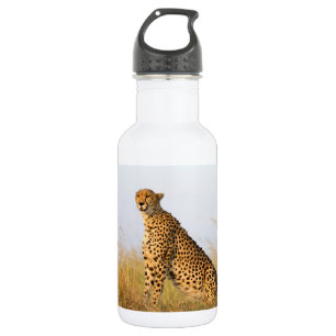 Bouteille D'eau Guépard