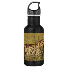 Guépard africain sauvage dans des herbes de la