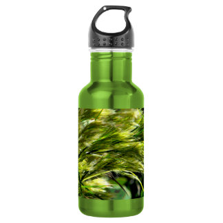 Bouteille D'eau Herbe de plage dans la brise