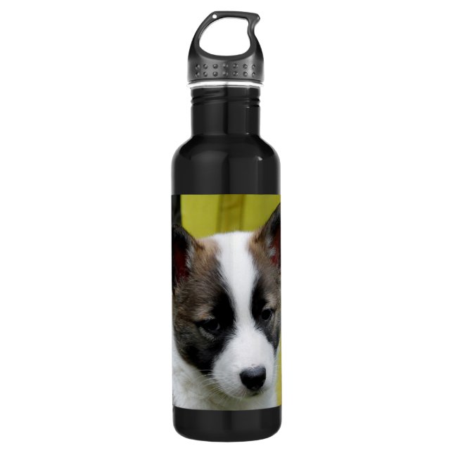 Bouteille D'eau Icelandic Sheepdog 2014-0806 (Devant)