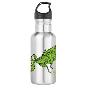 Bouteille D'eau Illustration de dessin d'insecte des feuilles vert