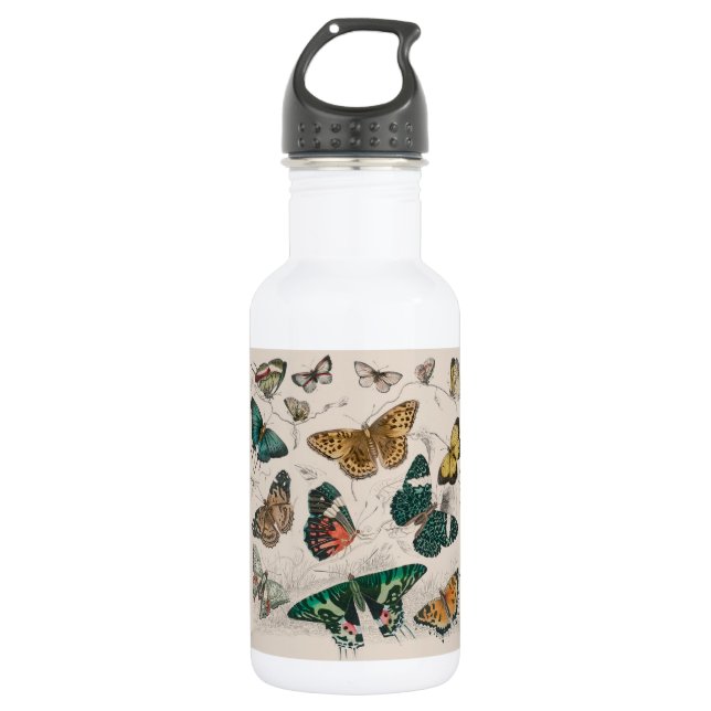 Bouteille D'eau Illustration de papillon antique : 1820 Orfèvre (Devant)