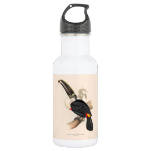 Bouteille D'eau Impression du Toucan de Cuvier : Oiseau Tropical V