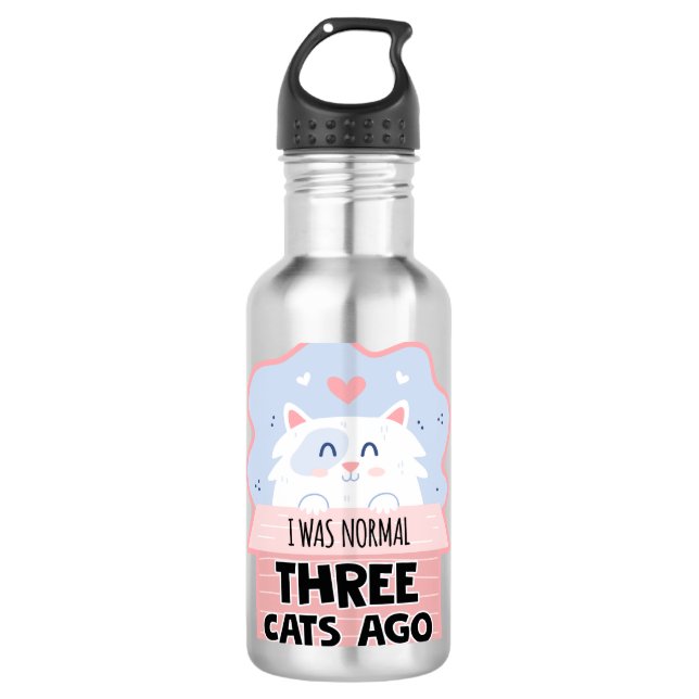 Bouteille D'eau J'Étais Normal Il Y A Trois Chats (Devant)