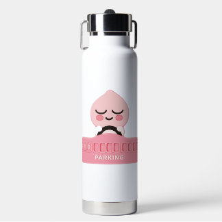 Bouteille D'eau KaKao Friends - Driving Apeach