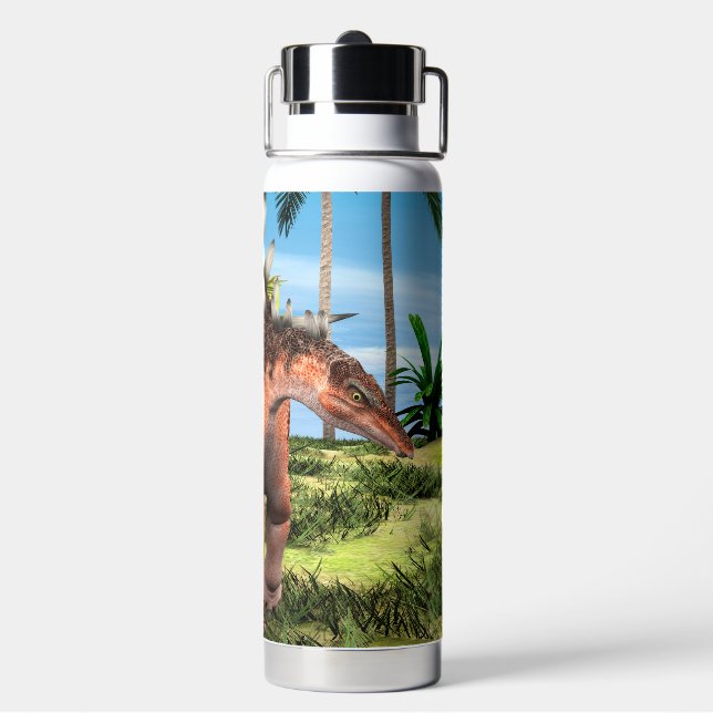 Bouteille D'eau Kentrosaurus Dinosaure Jungle Art Préhistorique (Arrière)
