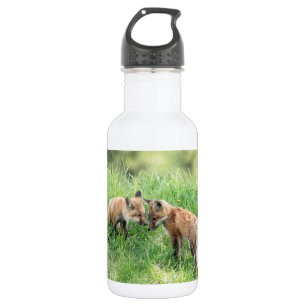 Bouteille D'eau Kits Red Fox