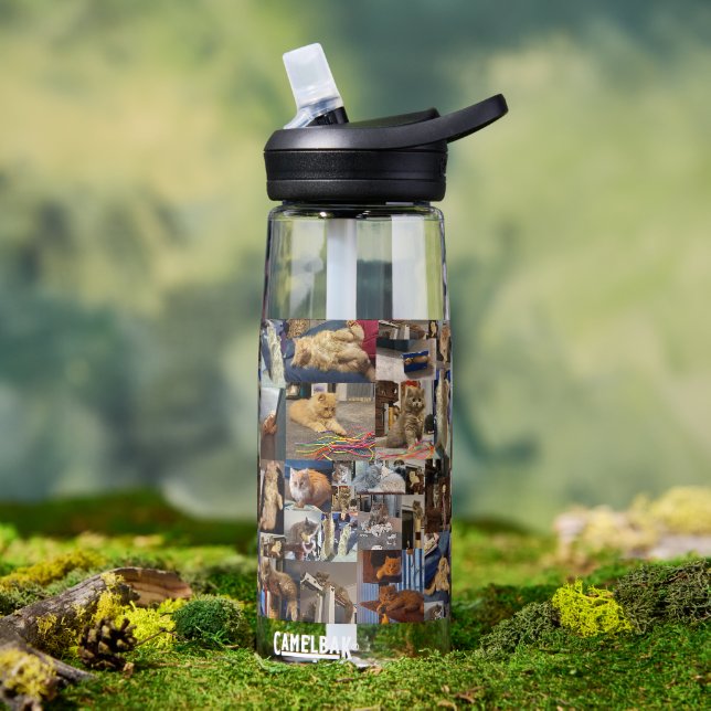 Bouteille D'eau Kitten Photo Collage, (Extérieur)