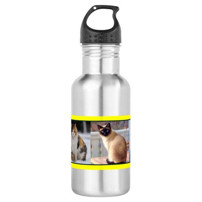 Bouteille D'eau Kitties partout (Devant)