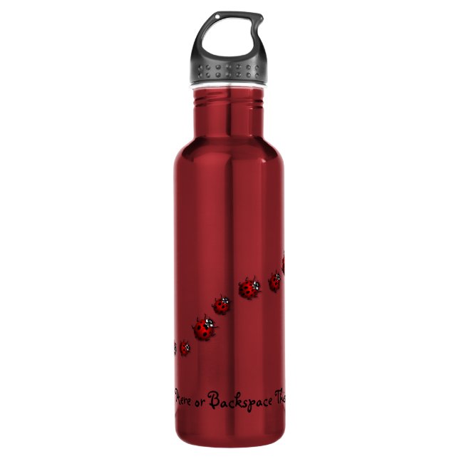 Bouteille D'eau Ladybug Water Bottle / Ladybird Art Bottle (Devant)
